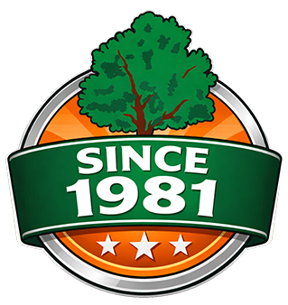 Since 1981 badge